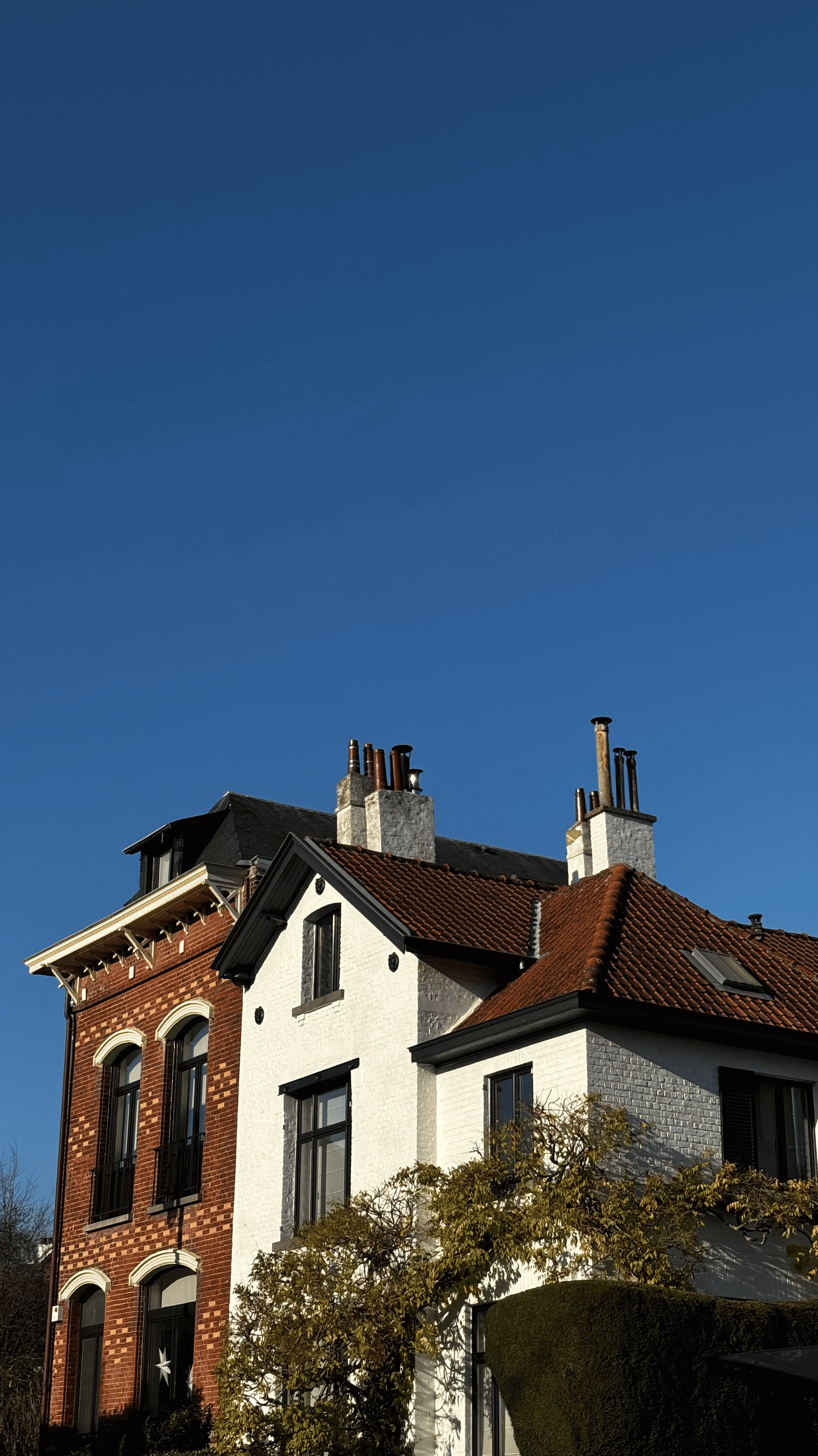 Bannière Vert Chasseur